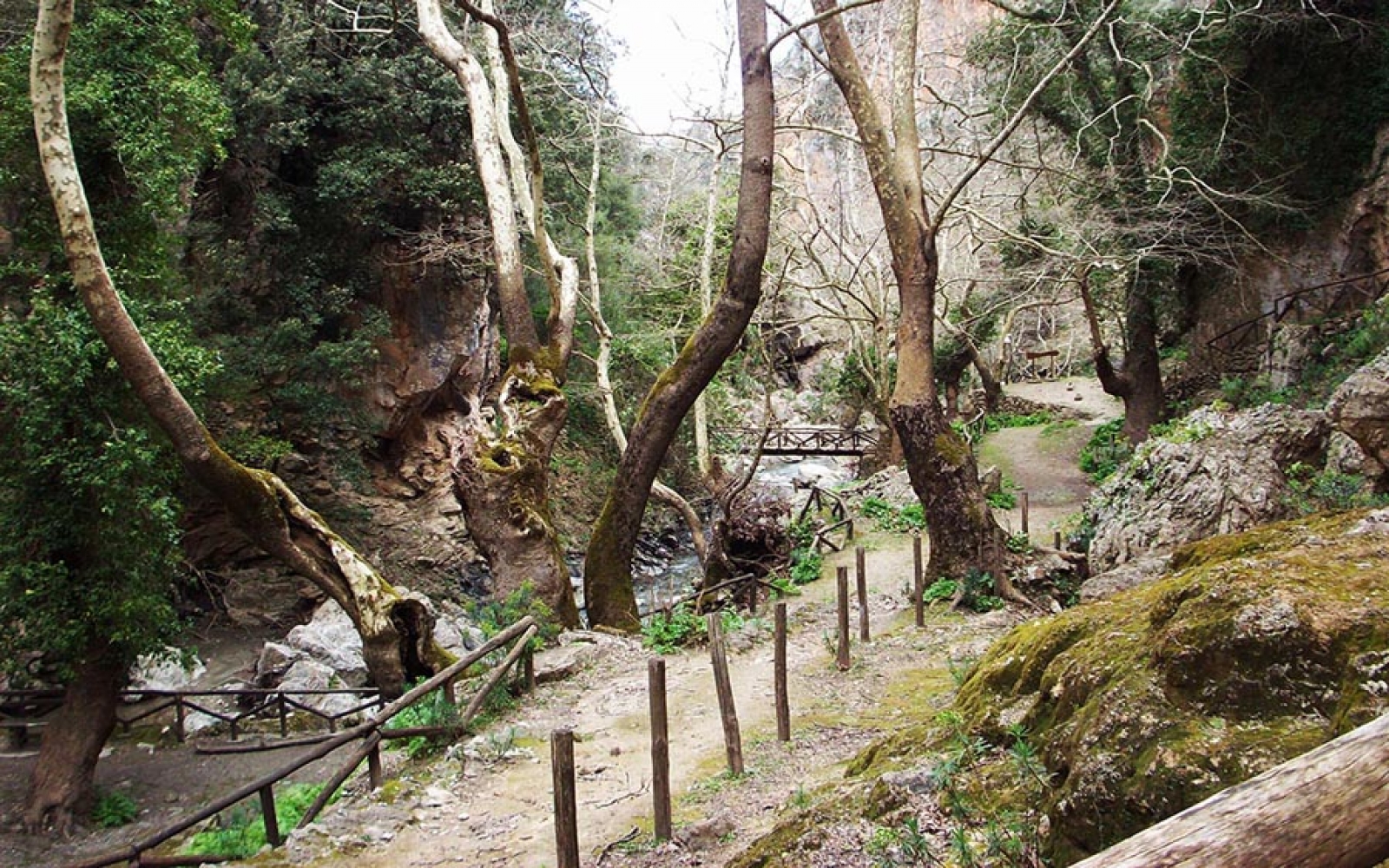 Patsos Gorge